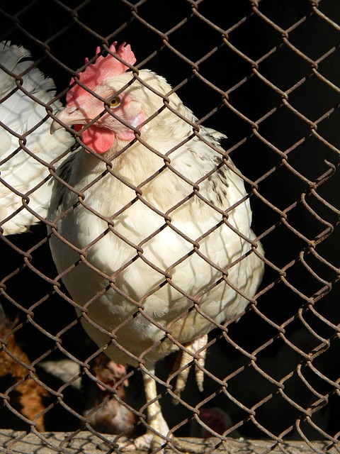 这种超越常 这种超越常