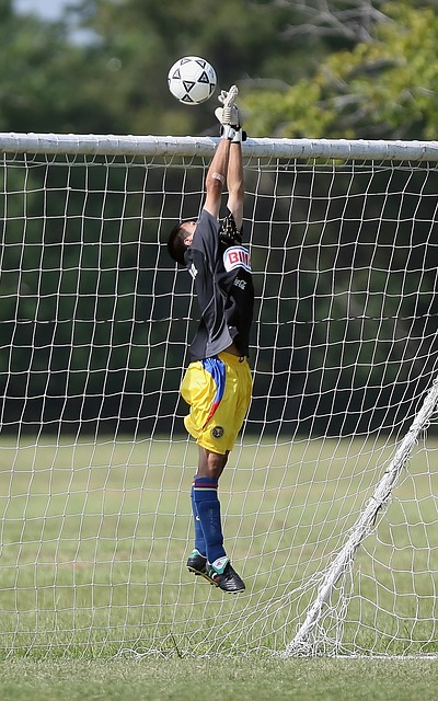 这两位球员 这两位球员